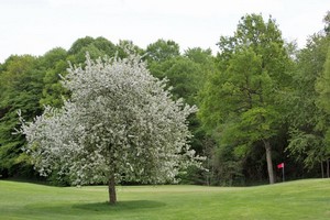 6- Trou n°6 La Croix Méré